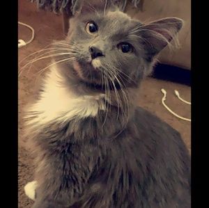 Meet your Posher, Sami